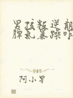 男孩叛逆期严重脾气暴躁咋办