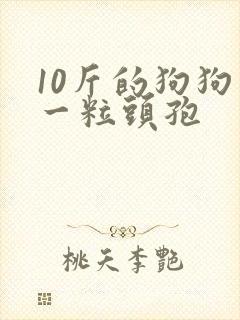 10斤的狗狗吃一粒头孢