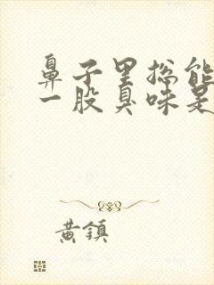 鼻子里总能闻到一股臭味是怎么回事