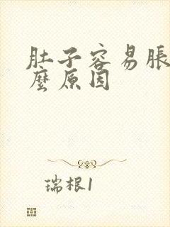 肚子容易胀痛什么原因