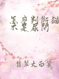 怎么判断猫咪是不是尿闭