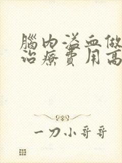 脑内溢血做康复治疗费用高吗