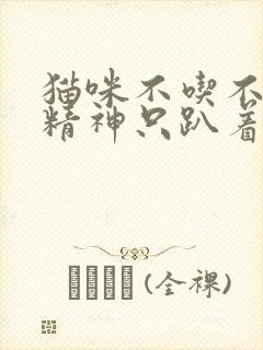 猫咪不吃不喝没精神只趴着怎么办