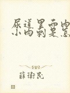 尿道里面内长些小肉刺是怎么回事啊