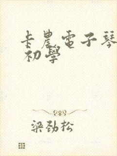 卡农电子琴简谱 初学