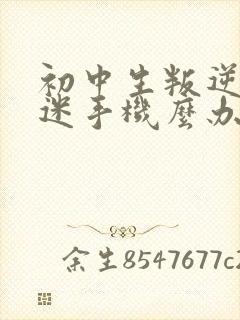 初中生叛逆期沉迷手机么办