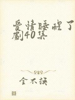 爱情睡醒了电视剧40集