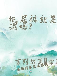 纸尿裤就是尿不湿吗?