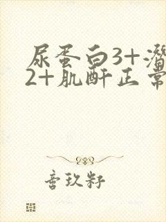 尿蛋白3+潜血2+肌酐正常