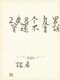 2岁8个月男宝宝还不会说话