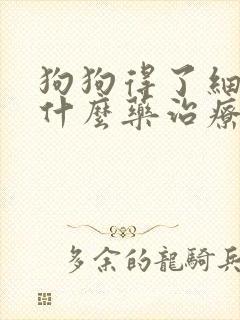 狗狗得了细小用什么药治疗