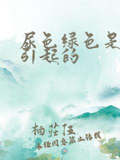 尿色绿色是原因引起的