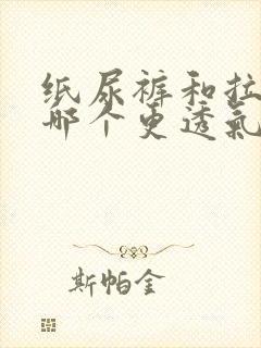 纸尿裤和拉拉裤哪个更透气