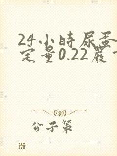 24小时尿蛋白定量0.22严重吗