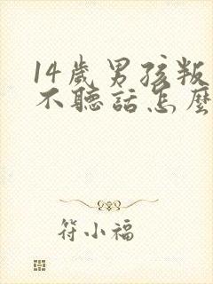 14岁男孩叛逆不听话怎么办