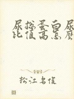 尿总蛋白尿肌酐比值高怎么回事