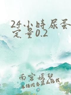 24小时尿蛋白定量0.2