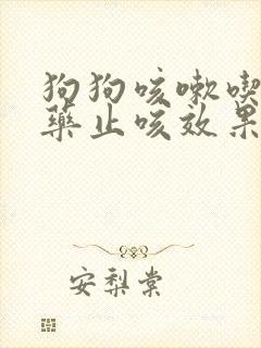 狗狗咳嗽吃什么药止咳效果好