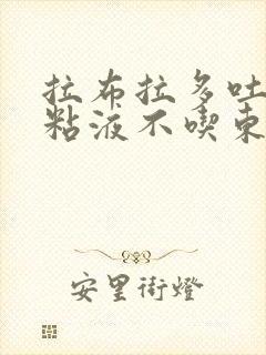 拉布拉多吐白色粘液不吃东西