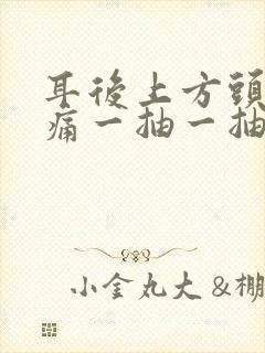 耳后上方头部疼痛一抽一抽疼