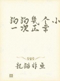 狗狗几个小时尿一次正常