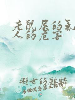 老鼠屎的气味对人的危害