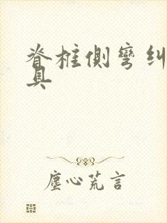 脊椎侧弯纠正支具