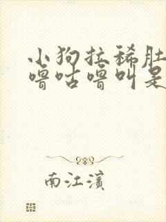 小狗拉稀肚子咕噜咕噜叫是怎么回事