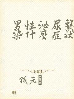 男性泌尿系统感染什么症状