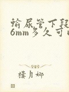 输尿管下段结石6mm多久可以排出