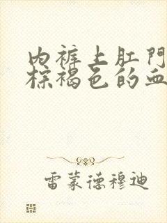 内裤上肛门处有棕褐色的血