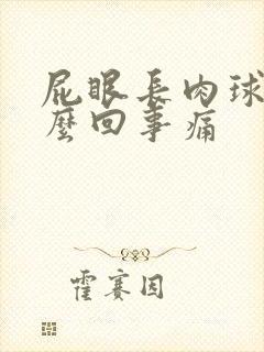 屁眼长肉球是怎么回事痛