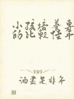 小孩培养专注力的比较佳年龄