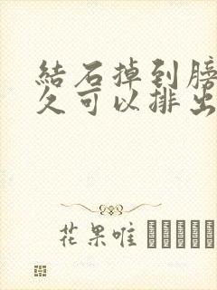 结石掉到膀胱多久可以排出来