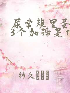 尿常规里蛋白质3个加号是什么意思