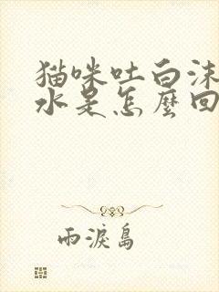 猫咪吐白沫流口水是怎么回事