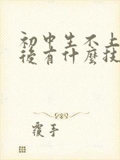 初中生不上学以后有什么技术可学