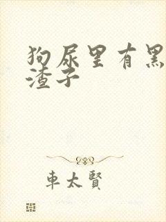 狗尿里有黑褐色渣子