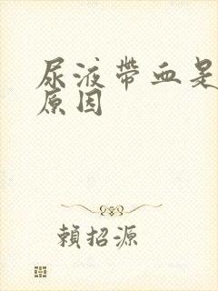 尿液带血是什么原因