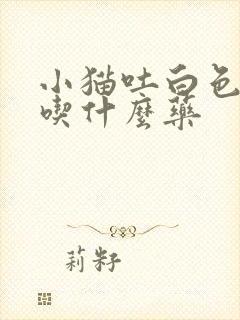 小猫吐白色泡沫吃什么药