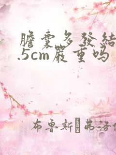 胆囊多发结石0.5cm严重吗