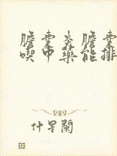 胆囊炎胆囊结石吃中药能排掉吗