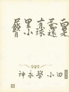 尿里有蛋白质是肾小球还是肾小囊