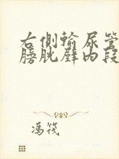 右侧输尿管下段膀胱壁内段结石