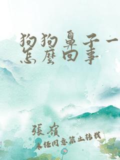 狗狗鼻子一直干怎么回事