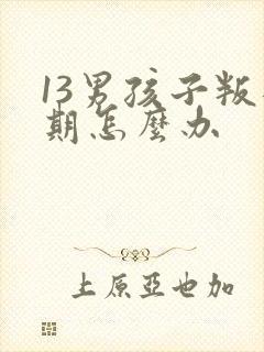 13男孩子叛逆期怎么办