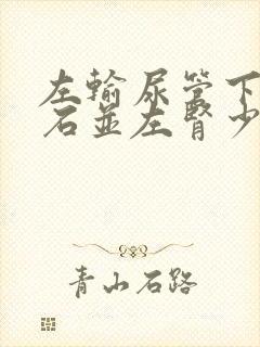 左输尿管下段结石并左肾少量积液