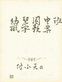 幼儿园中班语言识字教案