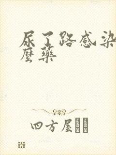 尿了路感染是什么药