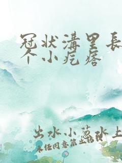 冠状沟里长了几个小疙瘩